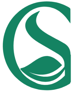 Logo GS FORMULA